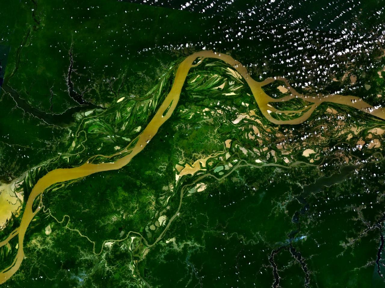 The Amazon Tipping Point