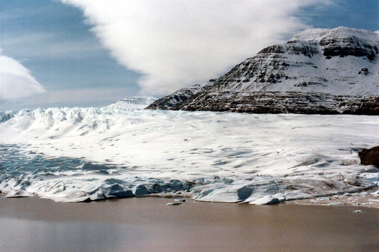 The Vanishing Arctic